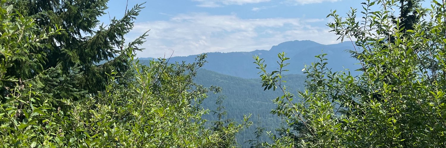 johndeergirly's profile banner image