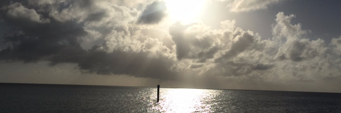 choek22's profile banner image