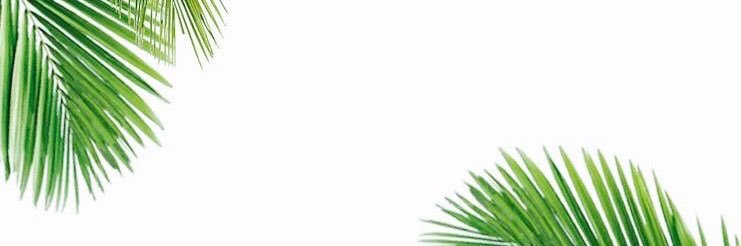 andreaberrellez's profile banner image