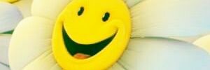 SCucarella's profile banner image