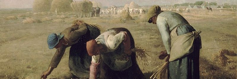 gulsinket's profile banner image