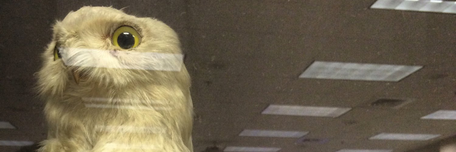 JeremySalinas9's profile banner image