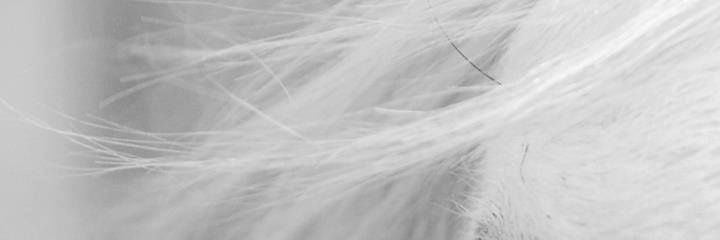 HmdErdem's profile banner image