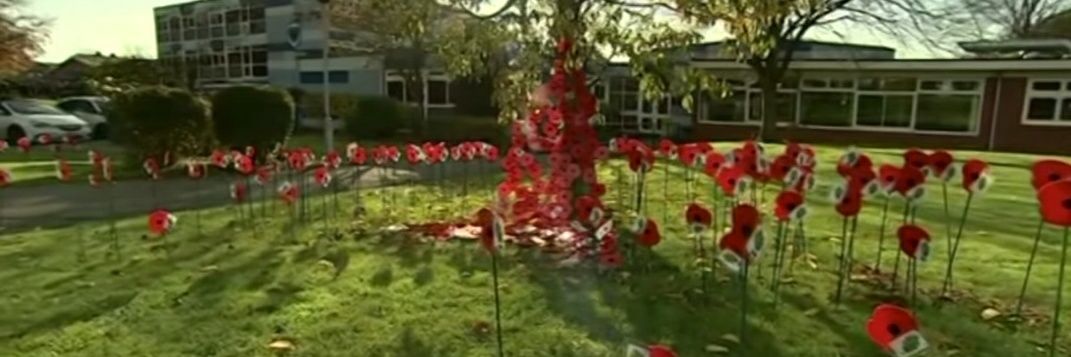 Alcester Academy Sci Dept🌈 banner