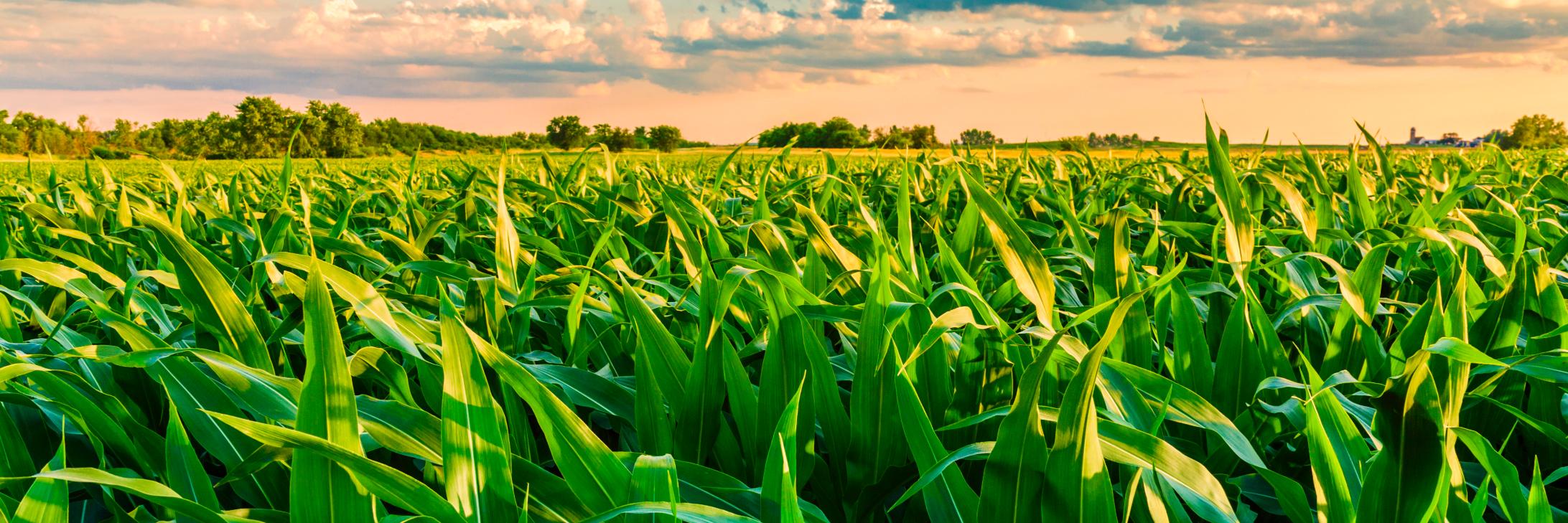 agrisourcedata's profile banner image