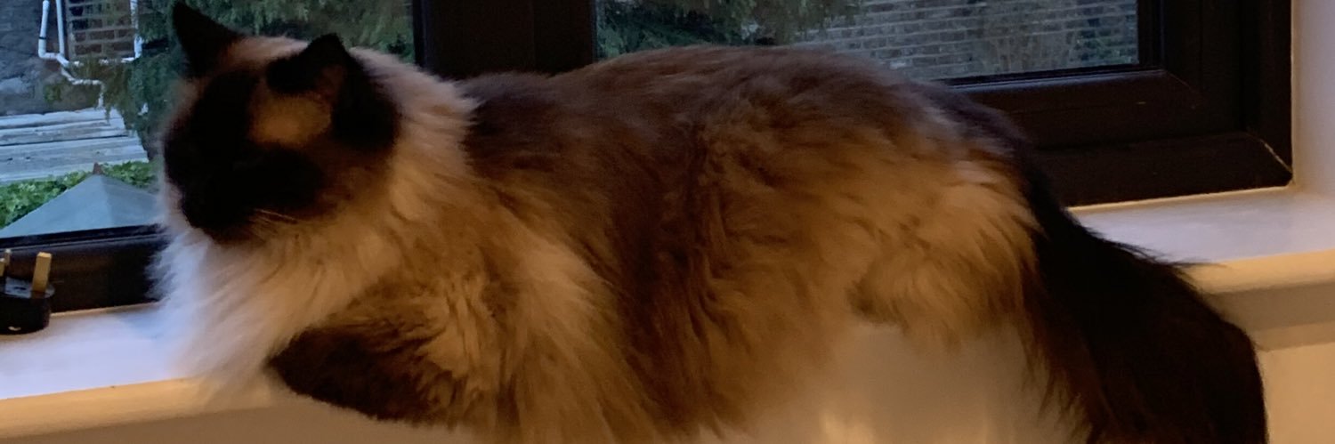 smudgebop's profile banner image