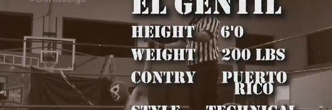 elgentillucha's profile banner image
