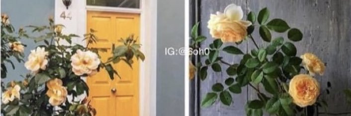 noodeA77's profile banner image