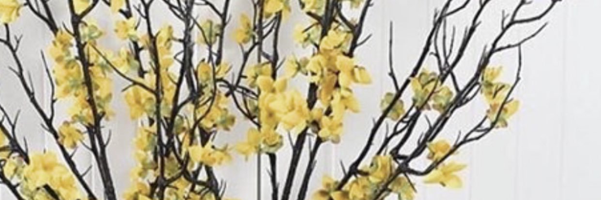 ii2213's profile banner image
