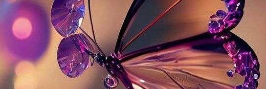 sqeawk's profile banner image