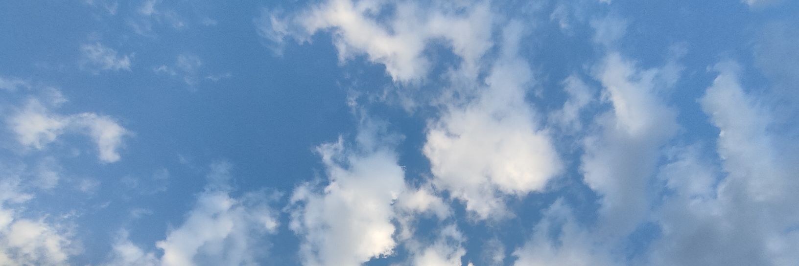 IamjacklynMS's profile banner image