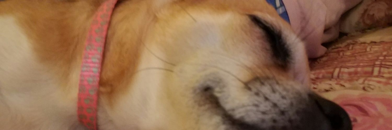 raymunk's profile banner image
