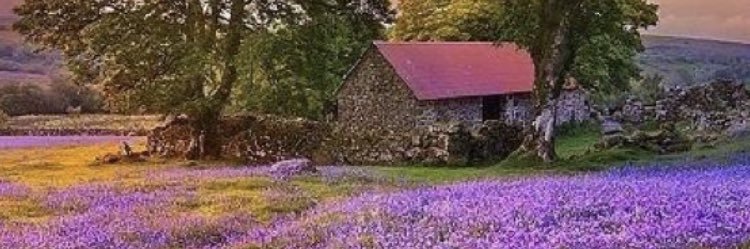 ‏﮼اللحظه ‏﮼الجميله💕 banner