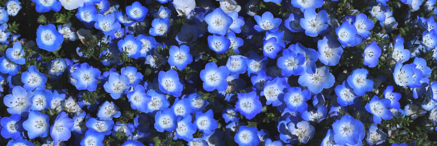 ena_0321's profile banner image