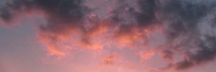Nada🌸 banner