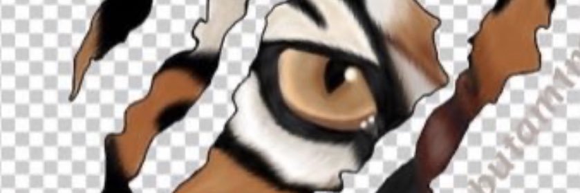 FF_md12's profile banner image