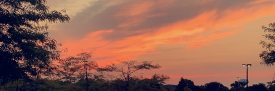 BelleRecchia's profile banner image