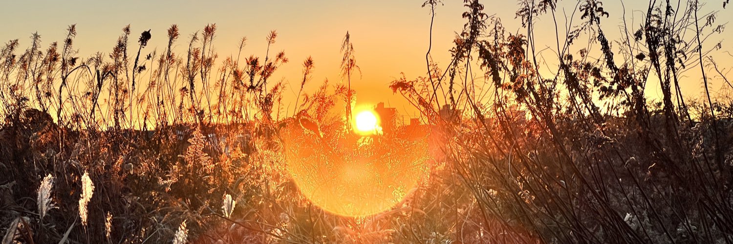tabo26961388's profile banner image
