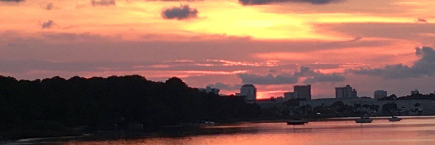 MsATriplett's profile banner image