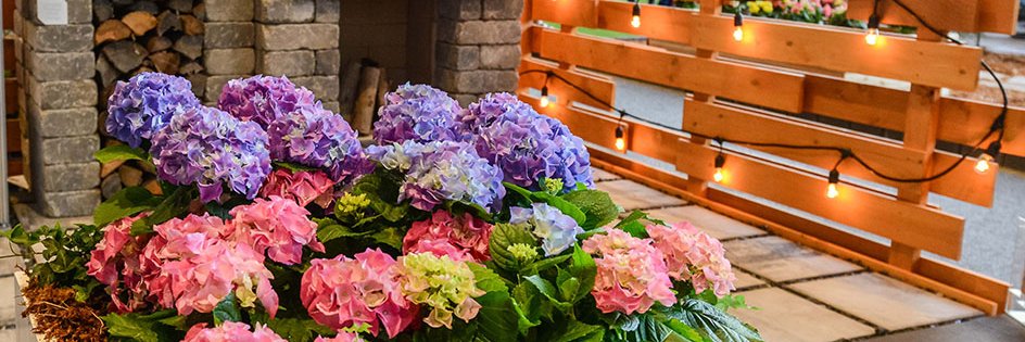 WPGHomeShows's profile banner image