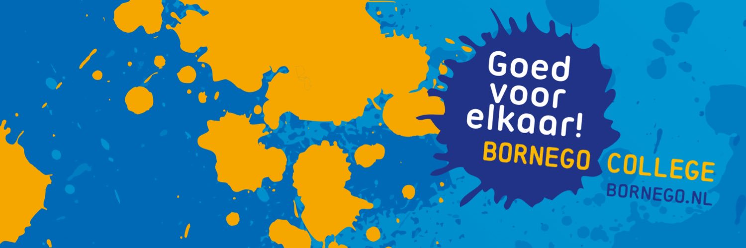 Bornego College banner