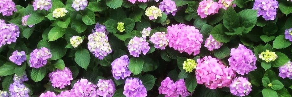 danagold7211's profile banner image