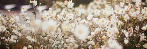 0nly1steff's profile banner image