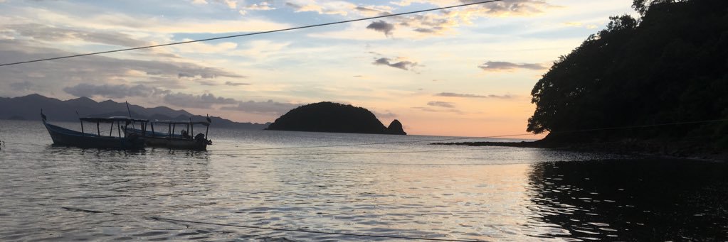 laneyjust's profile banner image