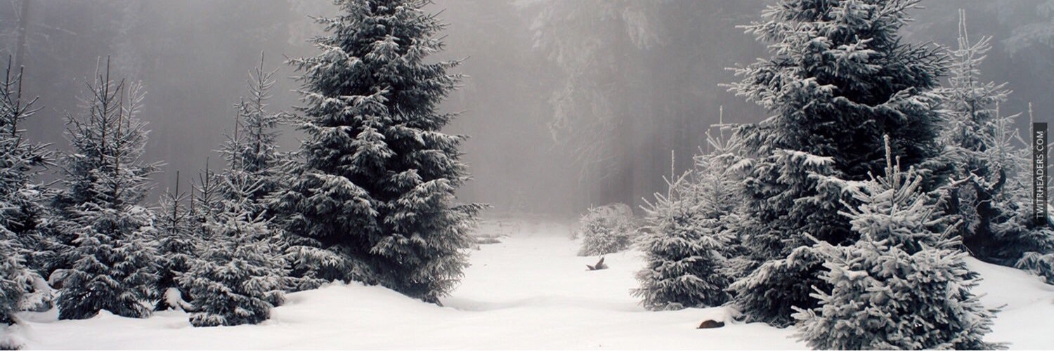 heybethnoel's profile banner image