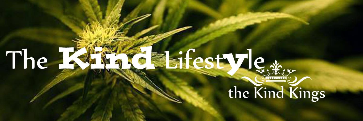 TheKindLife420's profile banner image