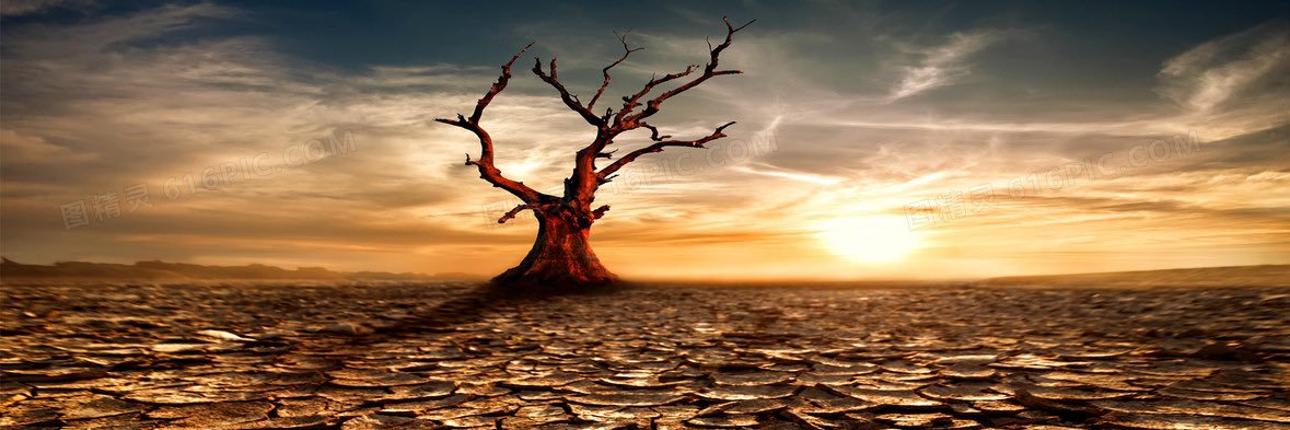 Mr.SUN 奇門暑恩炳 banner