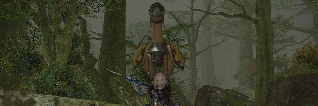 Miacis_W's profile banner image