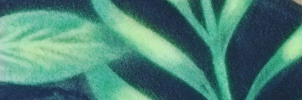 ertgrlalbyrk Profile Banner