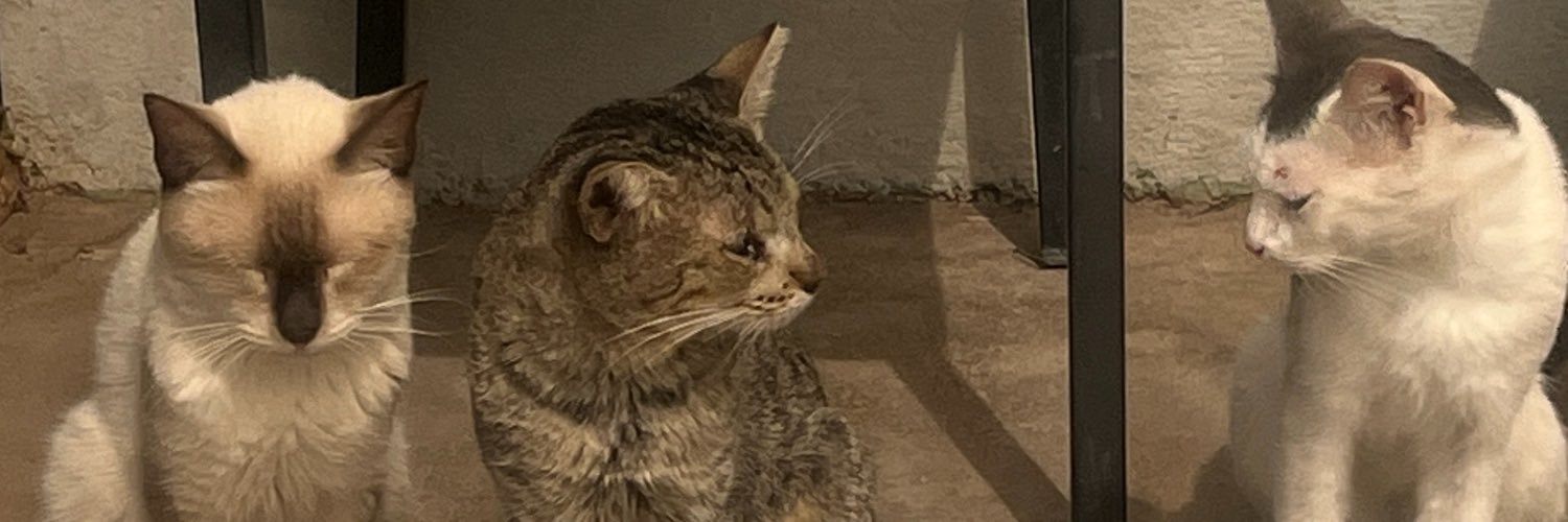 JYahir0's profile banner image