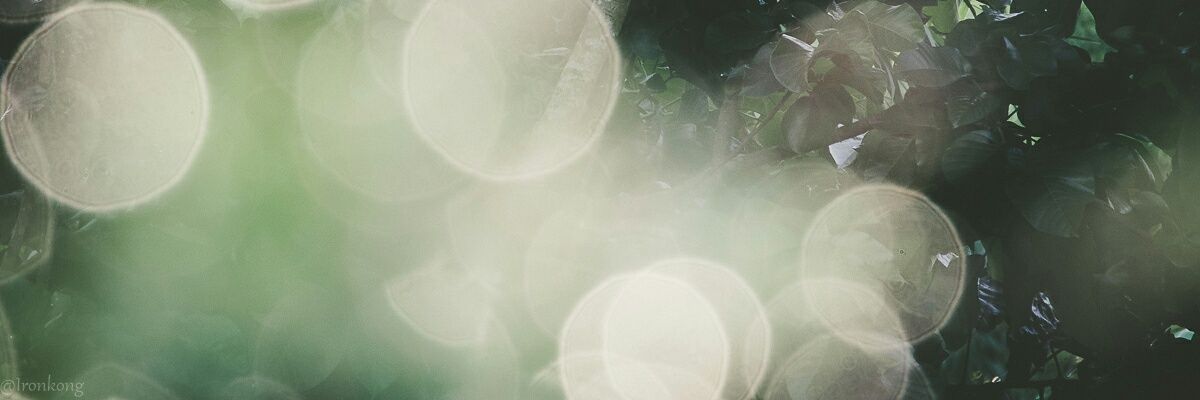 rayslp_'s profile banner image