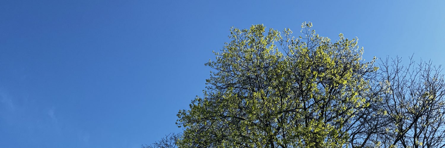 Aiysha A banner