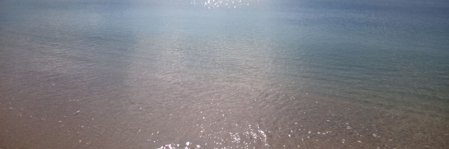 AlutoriaRR's profile banner image