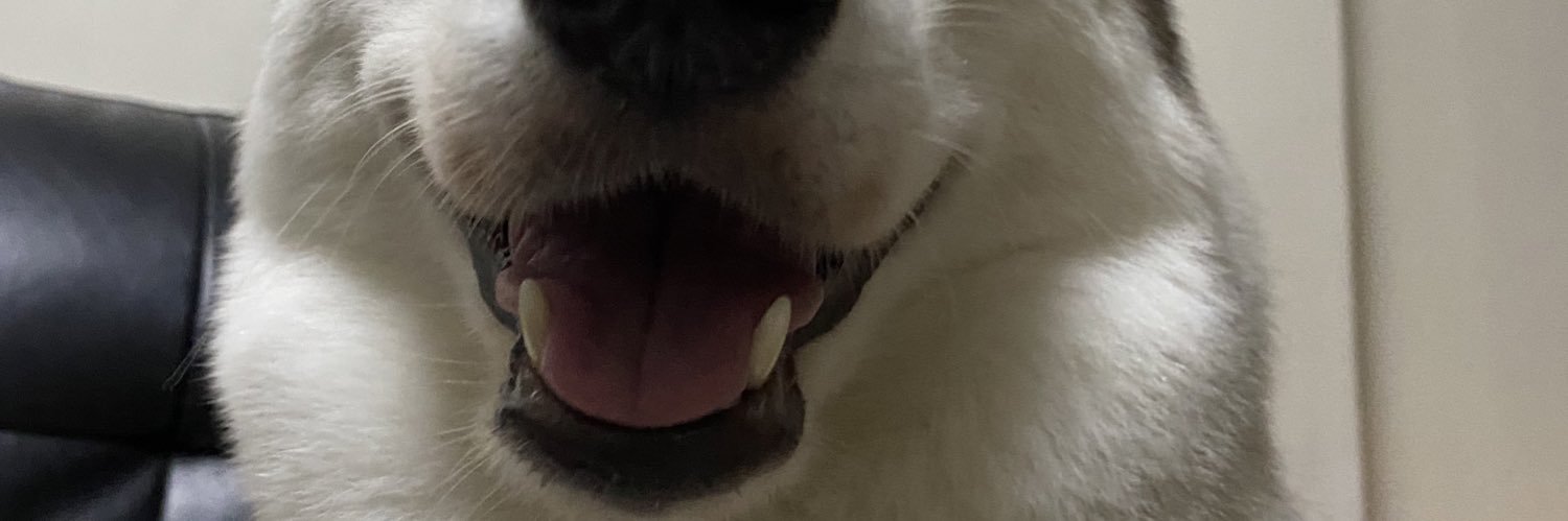 jasperjohn__'s profile banner image