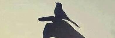 Nurszhor's profile banner image