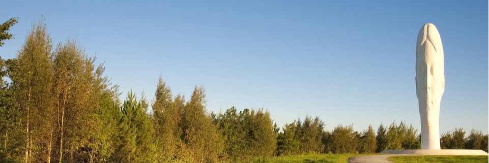 Dream Trail Races banner