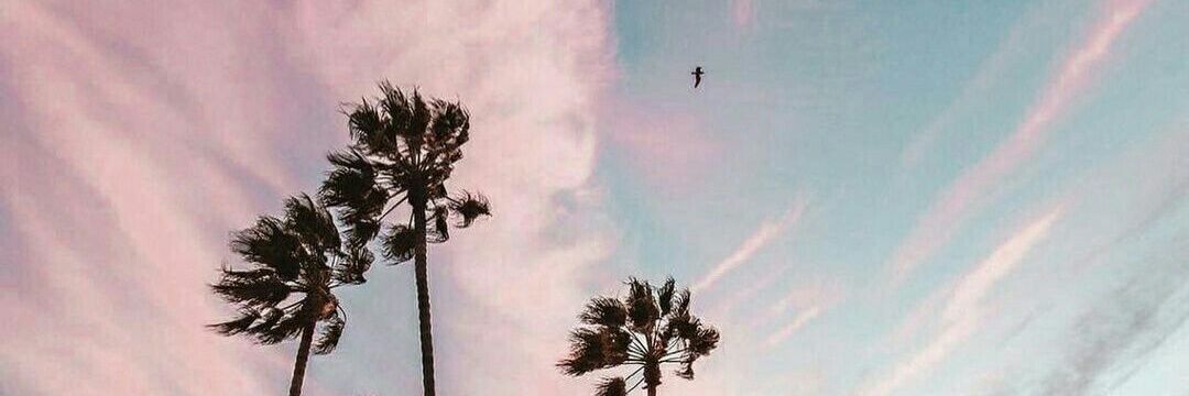 vousgemini's profile banner image
