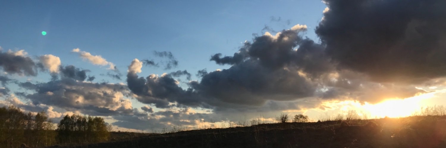 lobova23's profile banner image