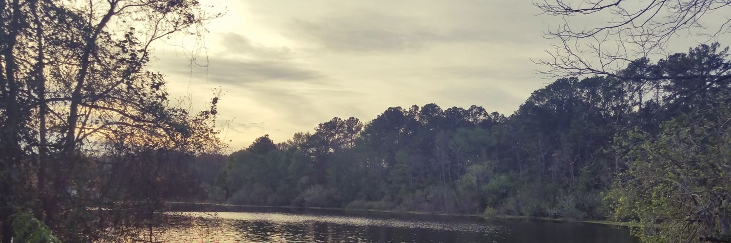 saladbits's profile banner image