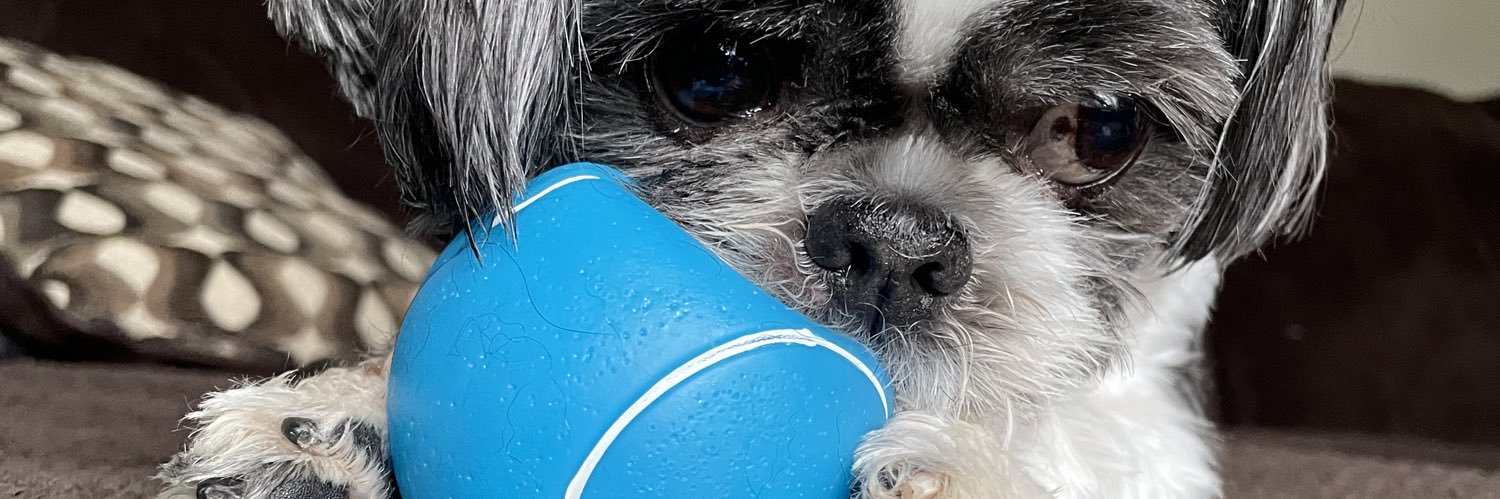 jackieflecker's profile banner image