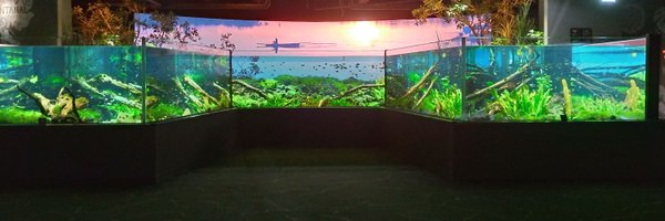 halucalm Profile Banner