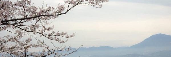 ryovts's profile banner image