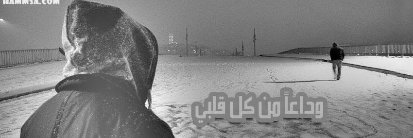 MR_AN950's profile banner image