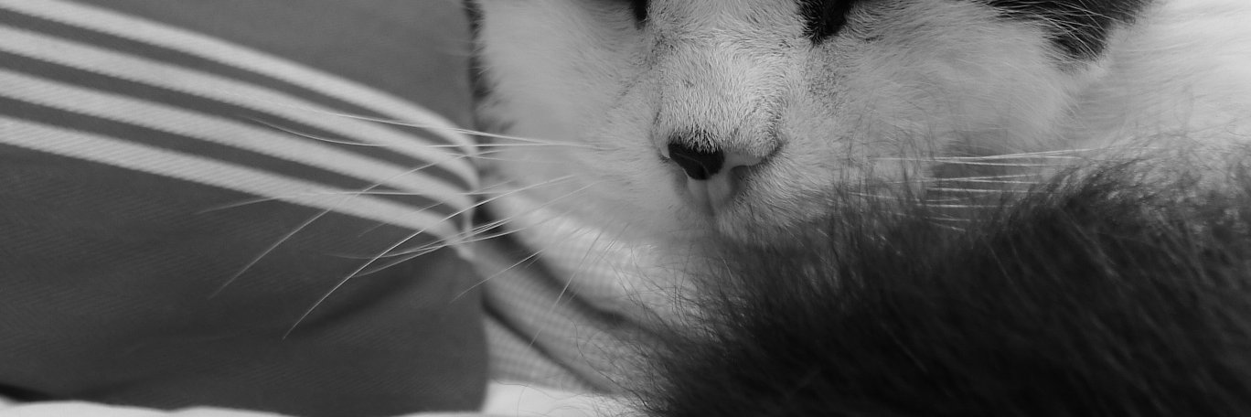 Rudyard Lake Stroll banner