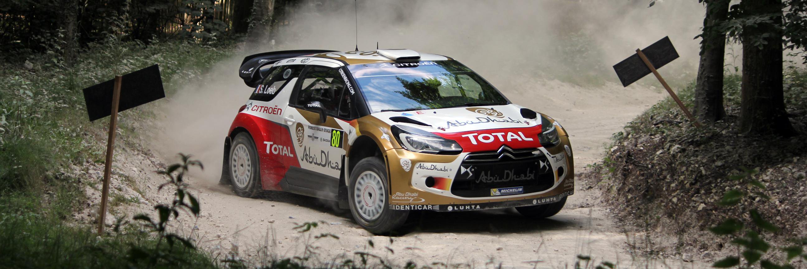 Steve White banner