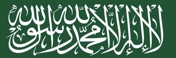 Tamer_Basuney's profile banner image